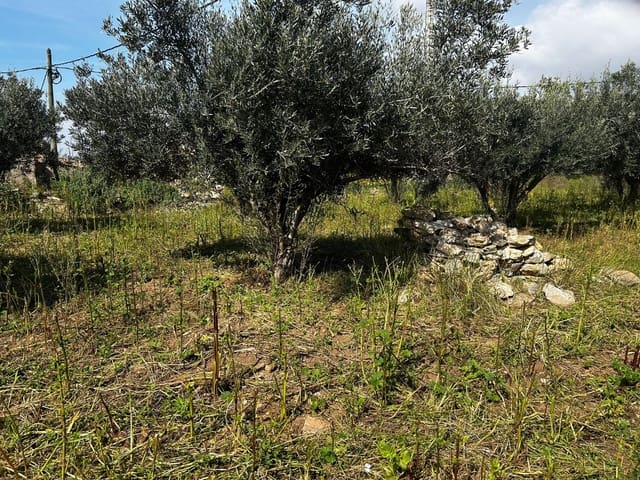 1 Zimmer Finca/Landgut zu verkaufen in Tallante, Cartagena mit Pool - 350.000 € (Ref: 9687639)