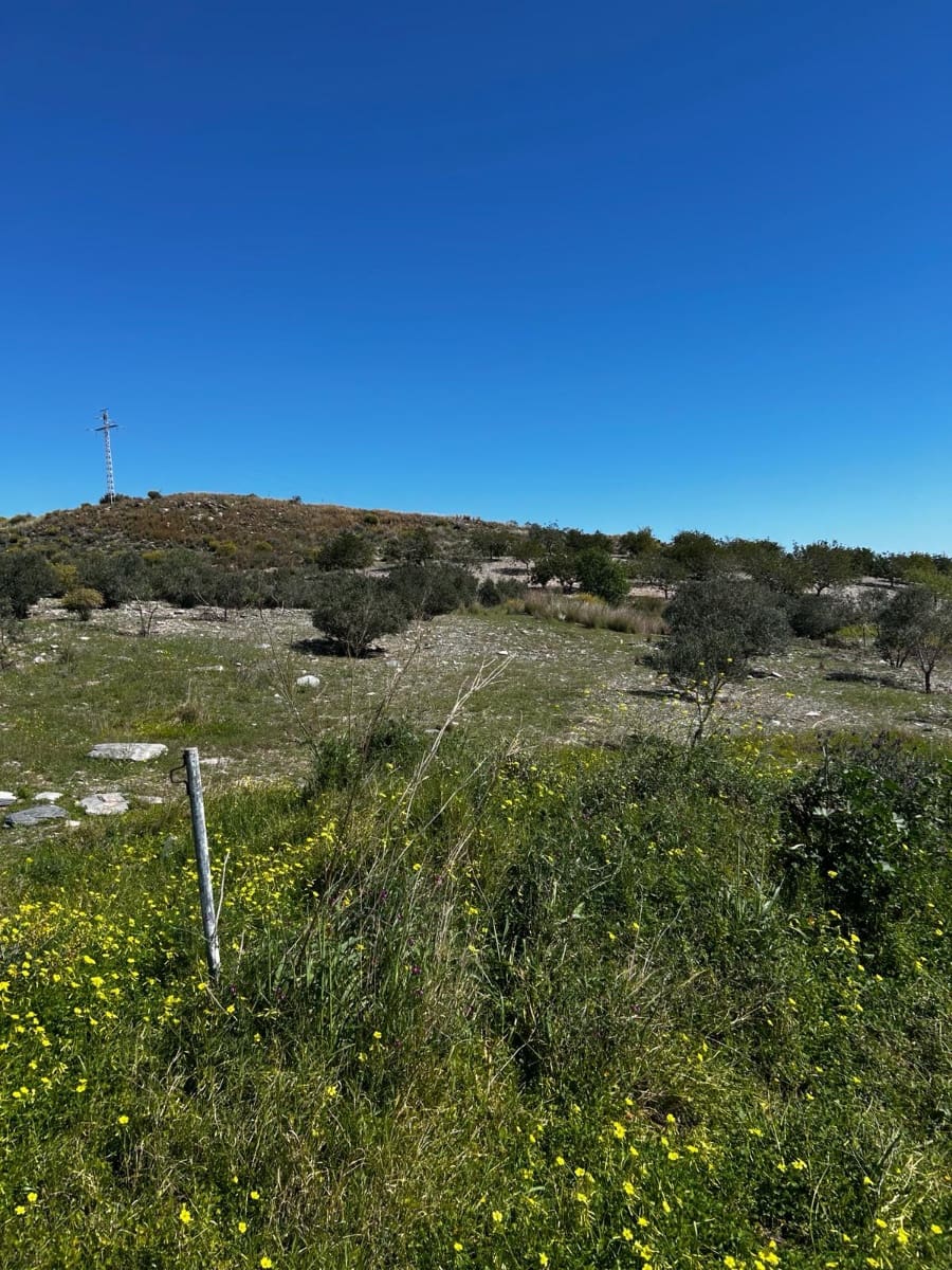 1 Zimmer Finca/Landgut zu verkaufen in Cartagena - 125.000 € (Ref: 9694080)