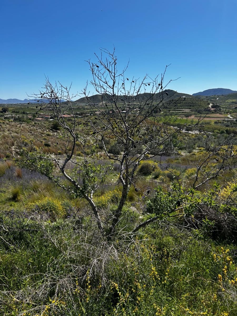 1 Zimmer Finca/Landgut zu verkaufen in Cartagena - 125.000 € (Ref: 9694080)