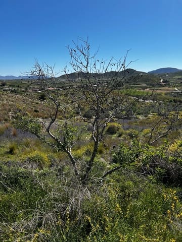 1 Zimmer Finca/Landgut zu verkaufen in Los Puertos, Cartagena - 125.000 € (Ref: 9694080)