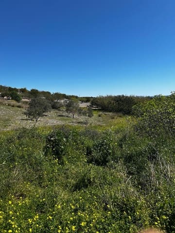 1 Zimmer Finca/Landgut zu verkaufen in Los Puertos, Cartagena - 125.000 € (Ref: 9694080)