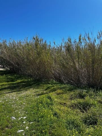 1 Zimmer Finca/Landgut zu verkaufen in Los Puertos, Cartagena - 125.000 € (Ref: 9694080)