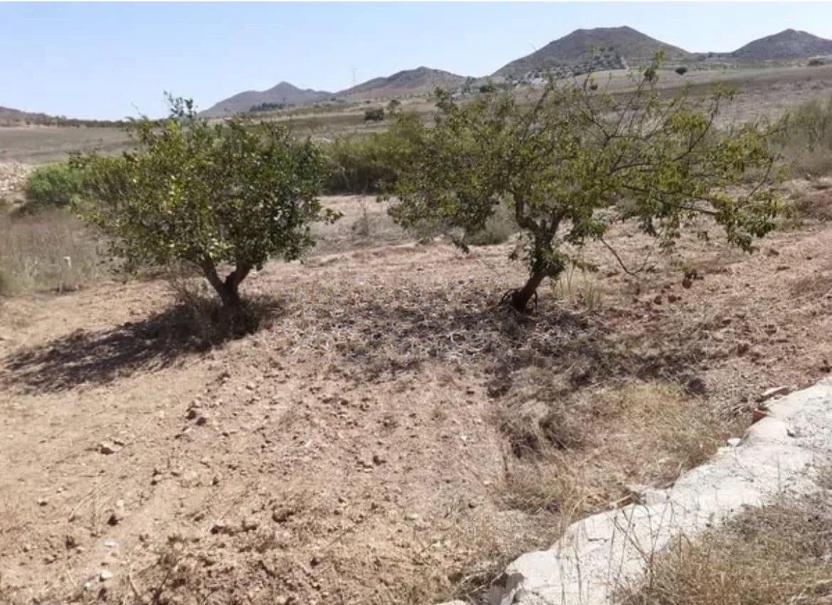 3 bedroom Finca/Country House for sale in Cartagena with pool - € 69,000 (Ref: 9733928)