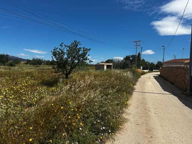 Terre non Aménagée à vendre à Fuente Alamo de Murcia - 49 000 € (Ref: 9782148)