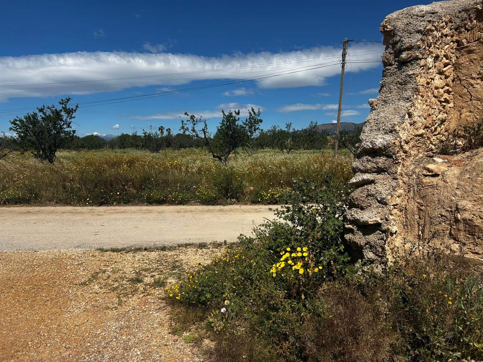 Teren niezagospodarowany na sprzedaż w Fuente Alamo de Murcia - 49 000 € (Ref: 9782148)