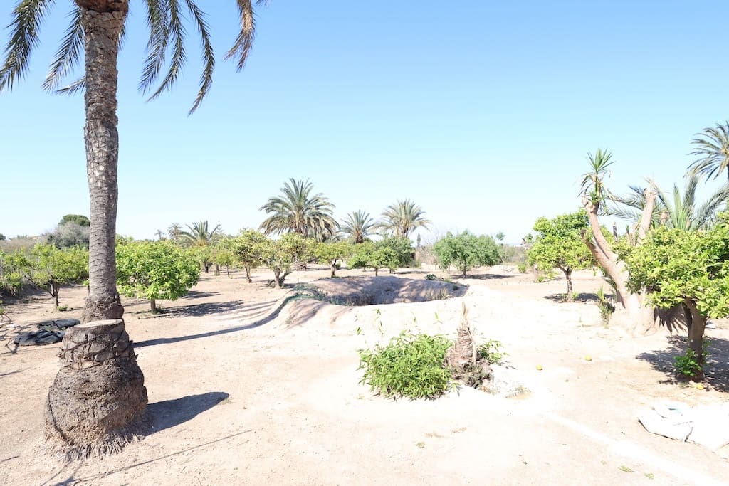 5 chambre Finca/Maison de Campagne à vendre à La Marina avec piscine - 549 000 € (Ref: 9905198)