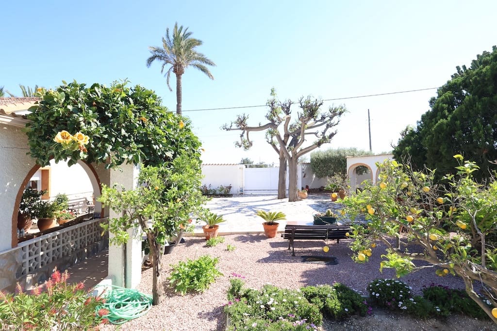 5 chambre Finca/Maison de Campagne à vendre à La Marina avec piscine - 549 000 € (Ref: 9905198)