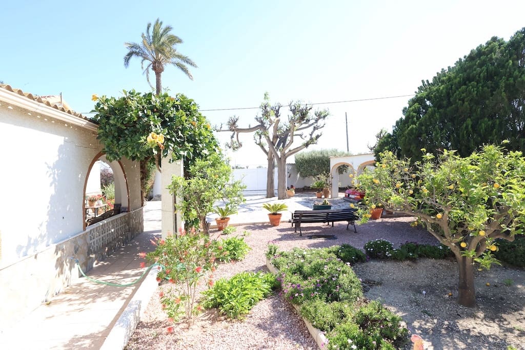 5 chambre Finca/Maison de Campagne à vendre à La Marina avec piscine - 549 000 € (Ref: 9905198)