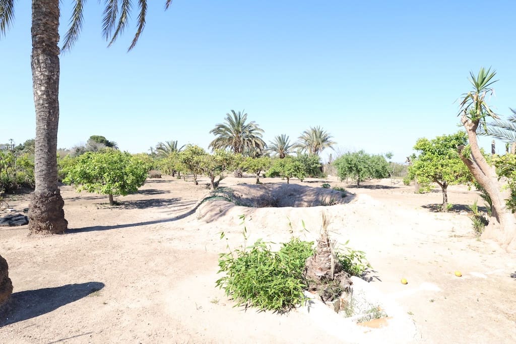 5 chambre Finca/Maison de Campagne à vendre à La Marina avec piscine - 549 000 € (Ref: 9905198)