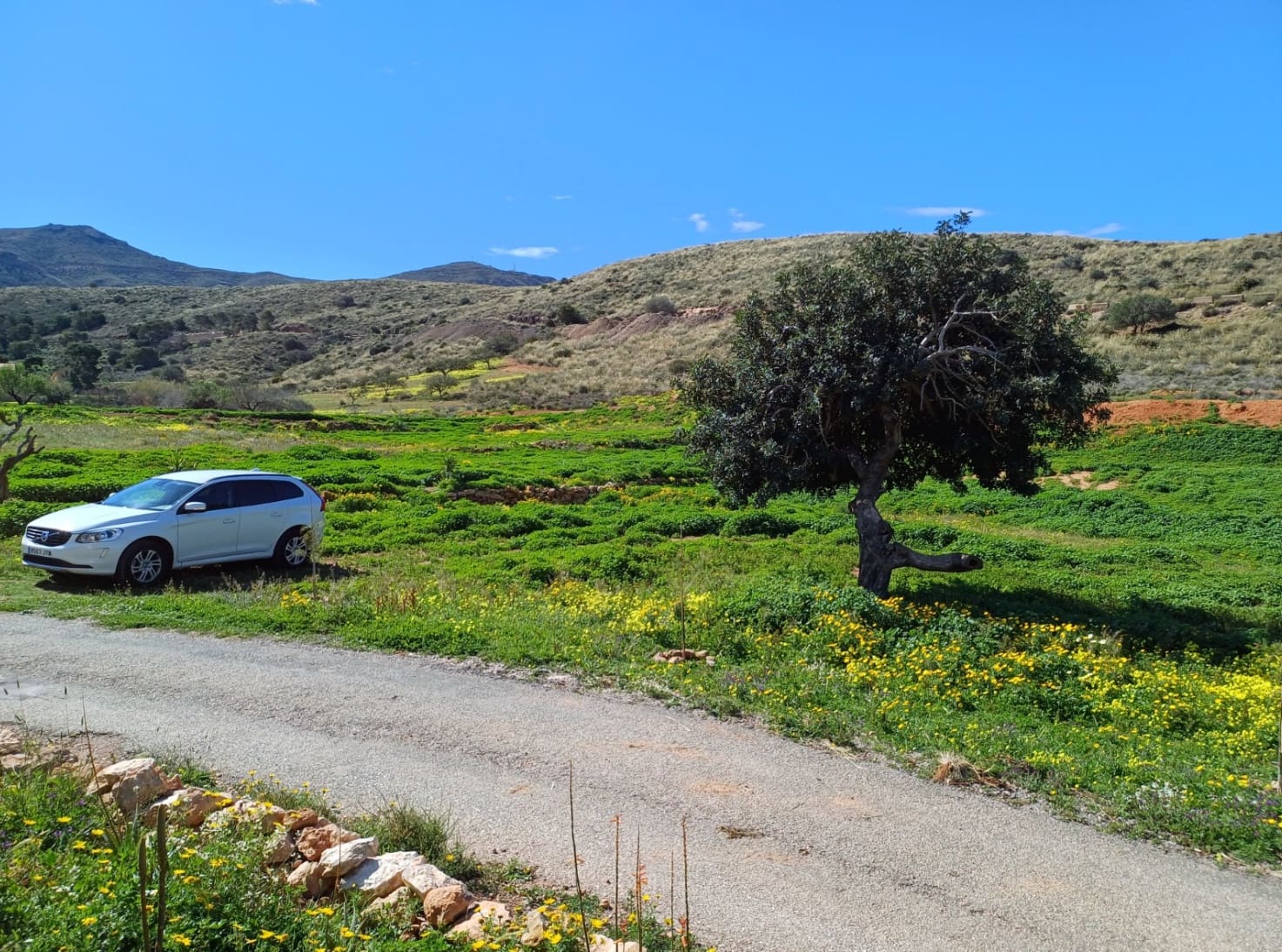 1 bedroom Finca/Country House for sale in Campillo de Adentro - € 240,000 (Ref: 9954481)
