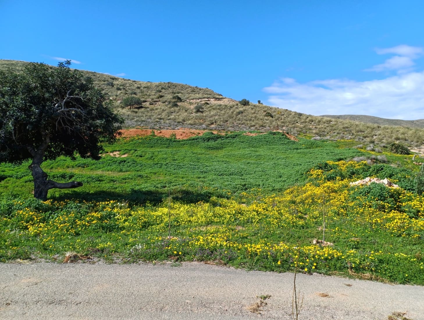 1 bedroom Finca/Country House for sale in Campillo de Adentro - € 240,000 (Ref: 9954481)