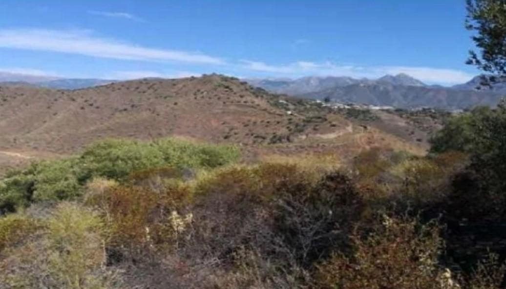 Terreno/Finca Rústica en Torrox en venta - 68.000 € (Ref: 9412969)