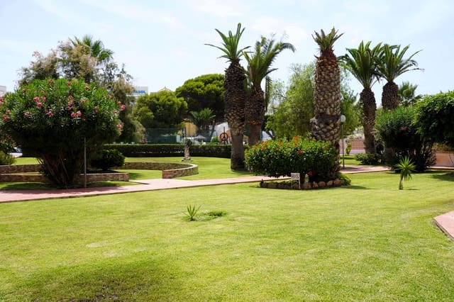 Adosado de 3 habitaciones en Roquetas de Mar en venta con piscina garaje - 279.000 € (Ref: 10032415)