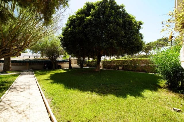 7 Zimmer Villa zu verkaufen in Roquetas de Mar mit Garage - 649.999 € (Ref: 10141471)