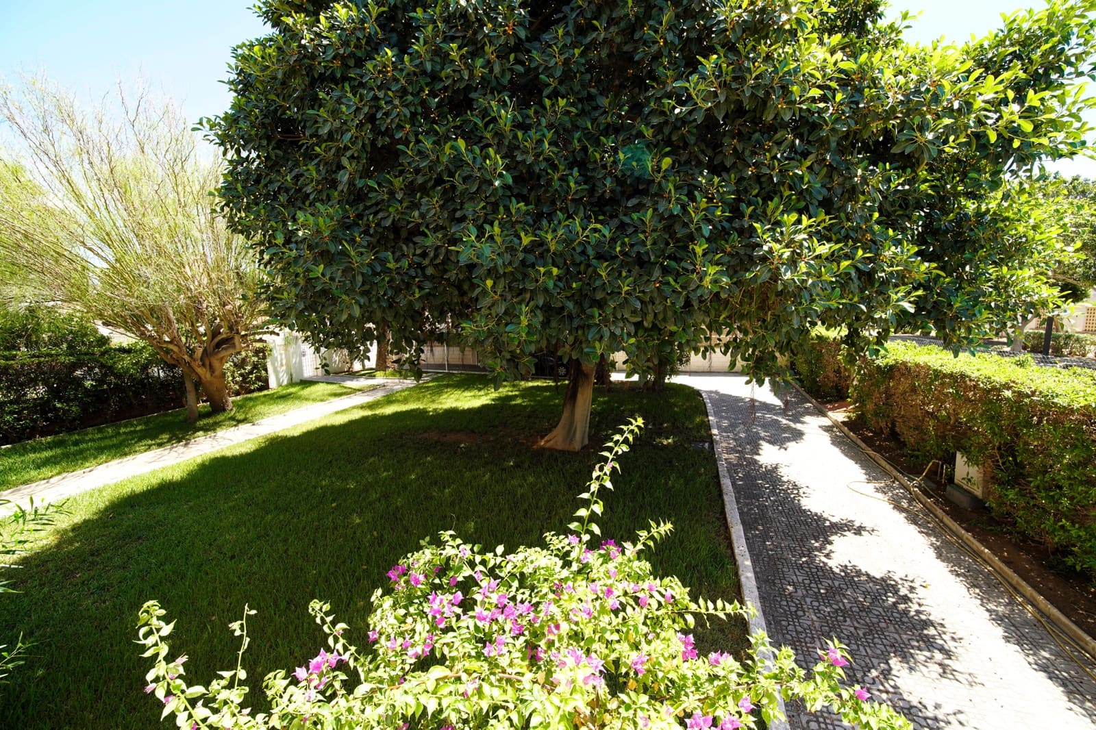 7 Zimmer Villa zu verkaufen in Roquetas de Mar mit Garage - 649.999 € (Ref: 10141471)