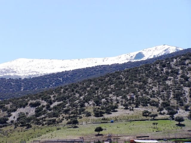 Building Plot for sale in Alquife - € 15,000 (Ref: 5213361)