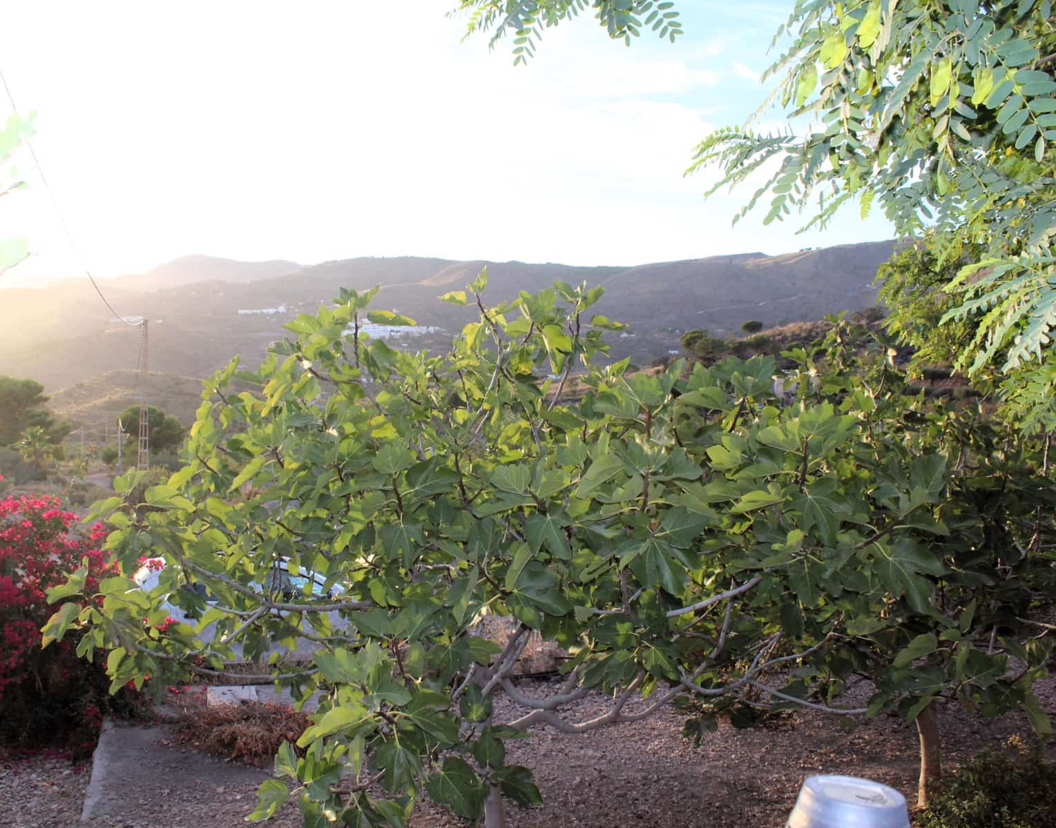 3 soverom Finca/Herregård til salgs i Enix med garasje - € 360 000 (Ref: 8589851)