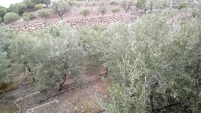 4 soverom Finca/Herregård til salgs i Felix - € 189 000 (Ref: 9325205)