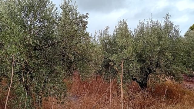 4 soverom Finca/Herregård til salgs i Felix - € 189 000 (Ref: 9325205)