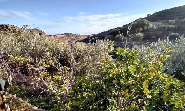 4 soveværelse Finca/Landehus til salg i Felix - € 189.000 (Ref: 9325205)