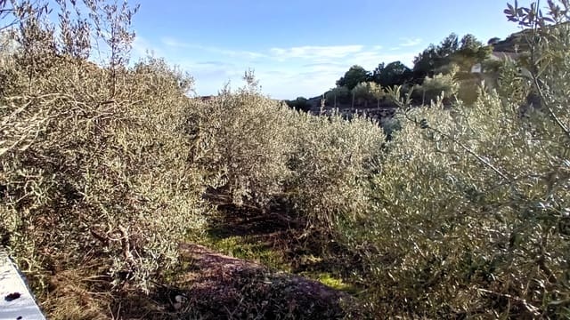 4 soveværelse Finca/Landehus til salg i Felix - € 189.000 (Ref: 9325205)