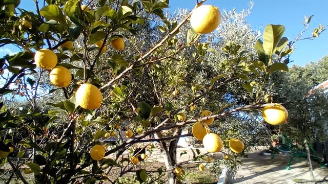 4 soveværelse Finca/Landehus til salg i Felix - € 189.000 (Ref: 9325205)