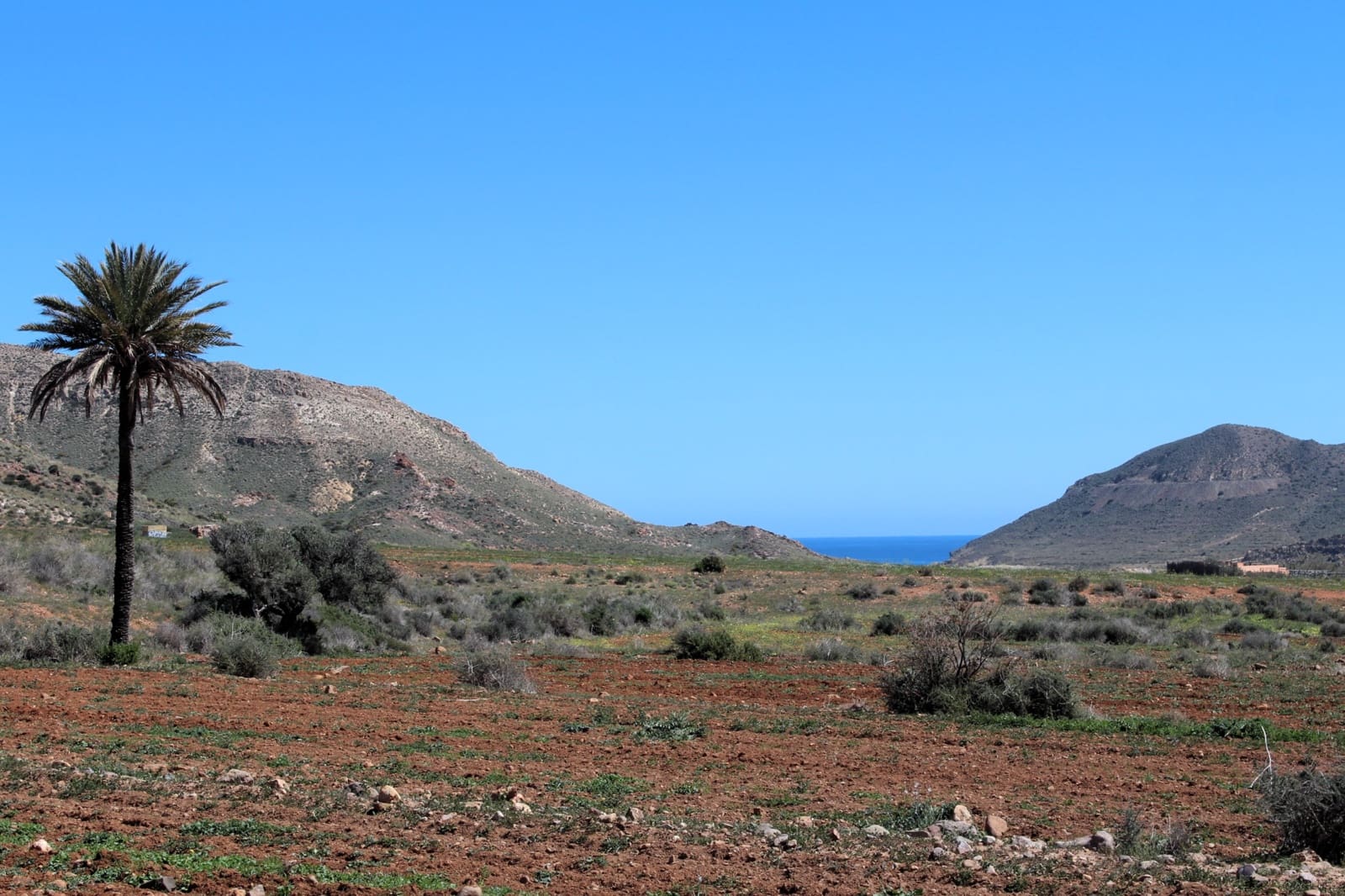 Finca/Country House for sale in Rodalquilar - € 295,000 (Ref: 9696859)