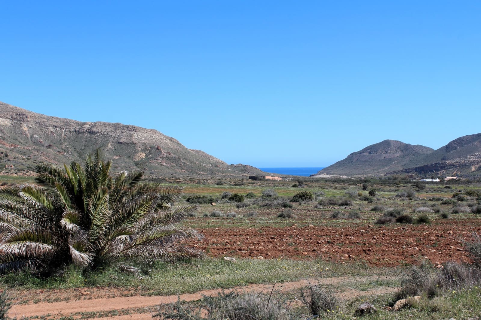 Finca/Country House for sale in Rodalquilar - € 295,000 (Ref: 9696859)