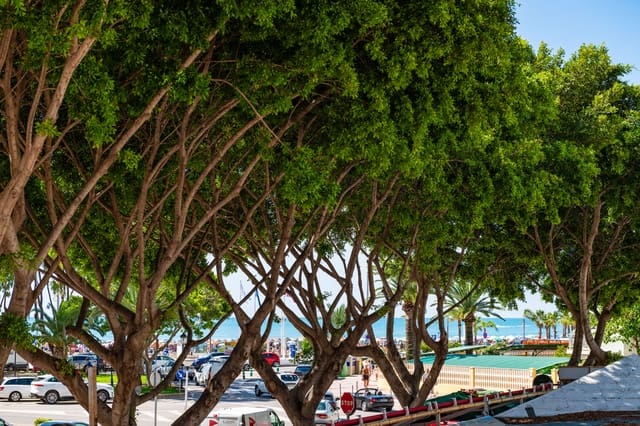 1 bedroom Beach Apartment for sale in Oropesa  - € 93,000 (Ref: 9148536)