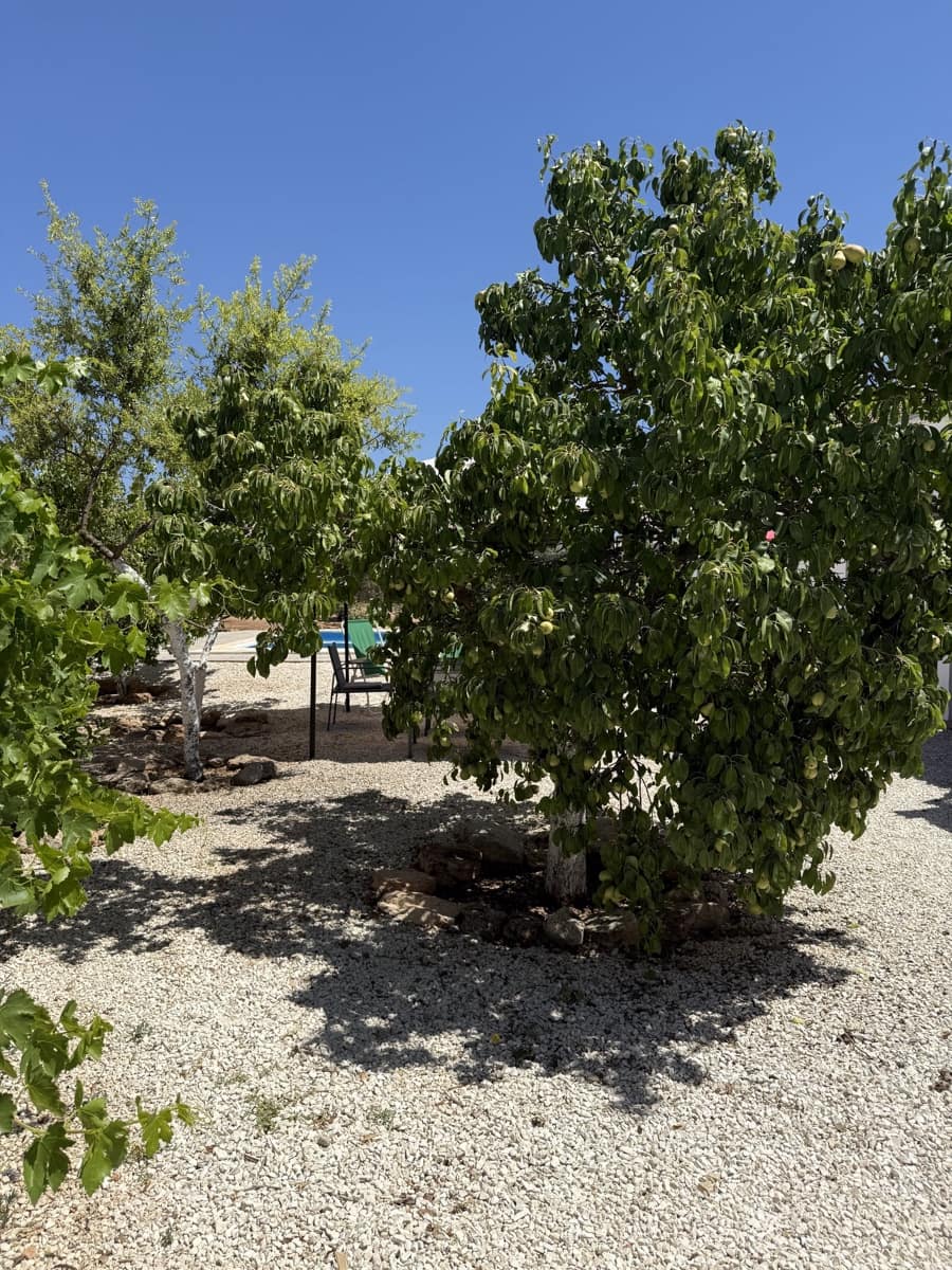 7 Zimmer Finca/Landgut zu verkaufen in Antequera mit Pool Garage - 245.995 € (Ref: 10173210)