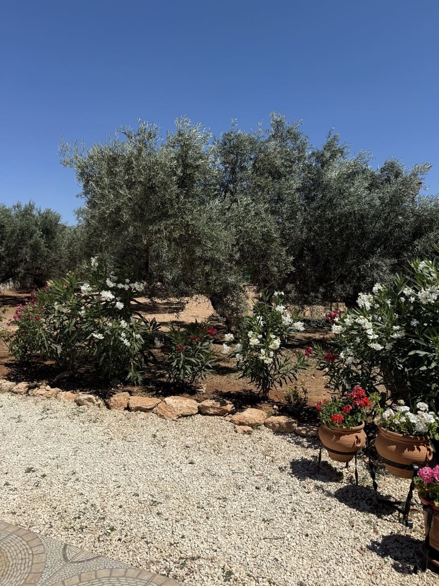 7 Zimmer Finca/Landgut zu verkaufen in Antequera mit Pool Garage - 245.995 € (Ref: 10173210)
