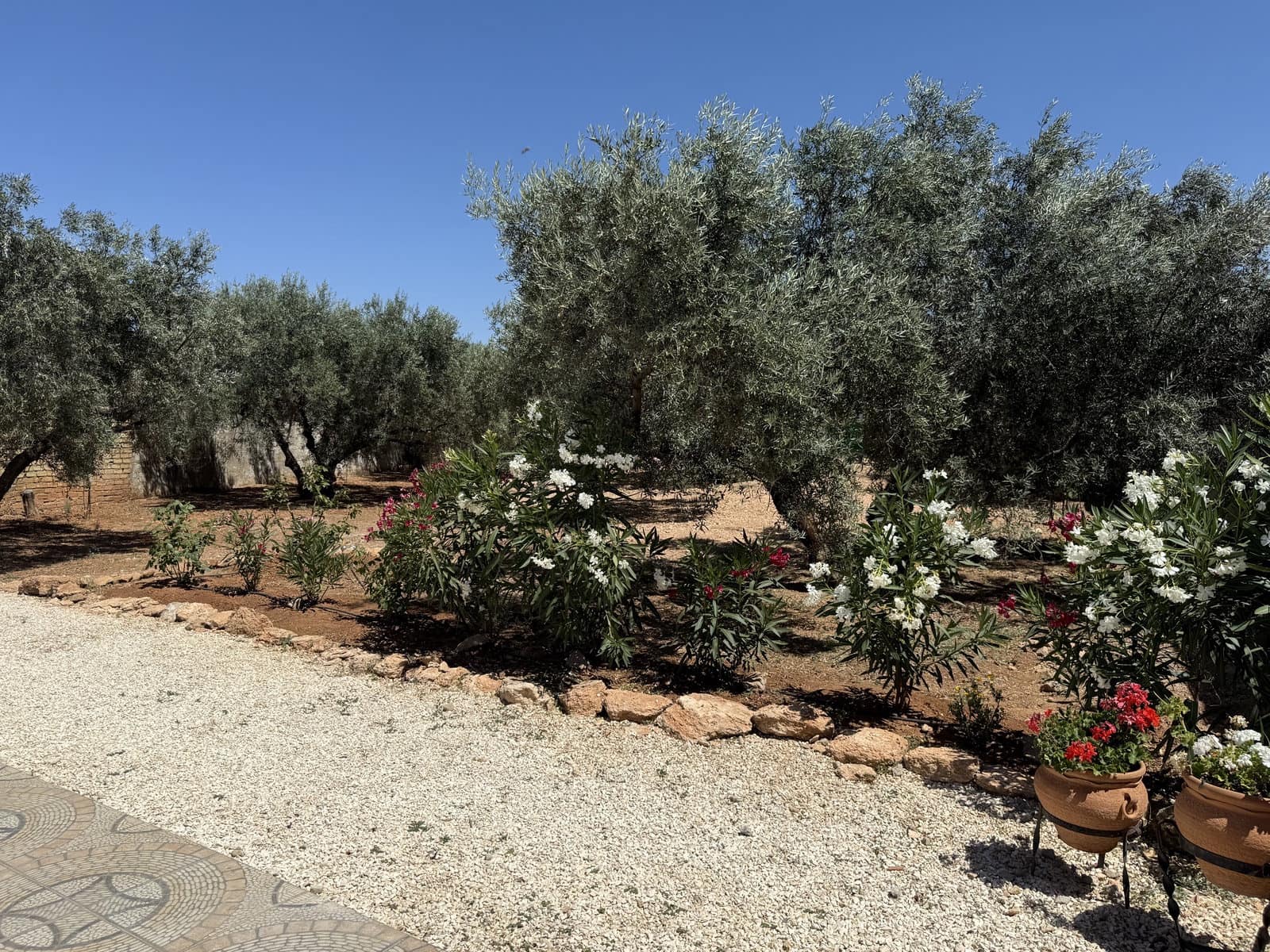 7 Zimmer Finca/Landgut zu verkaufen in Antequera mit Pool Garage - 245.995 € (Ref: 10173210)