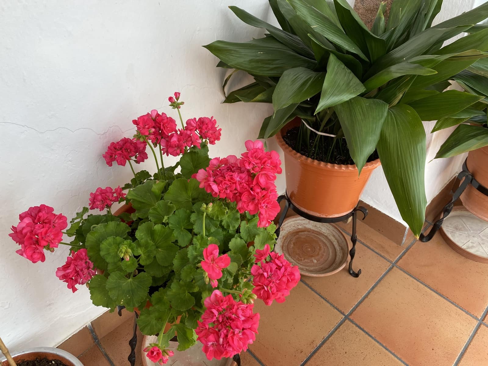 3 Zimmer Haus zu verkaufen in Villanueva del Trabuco mit Pool Garage - 93.000 € (Ref: 9674817)