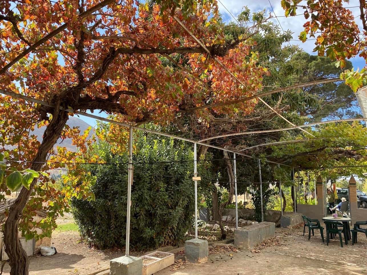 9 bedroom Finca/Country House for sale in Loja with garage - € 525,000 (Ref: 9674818)