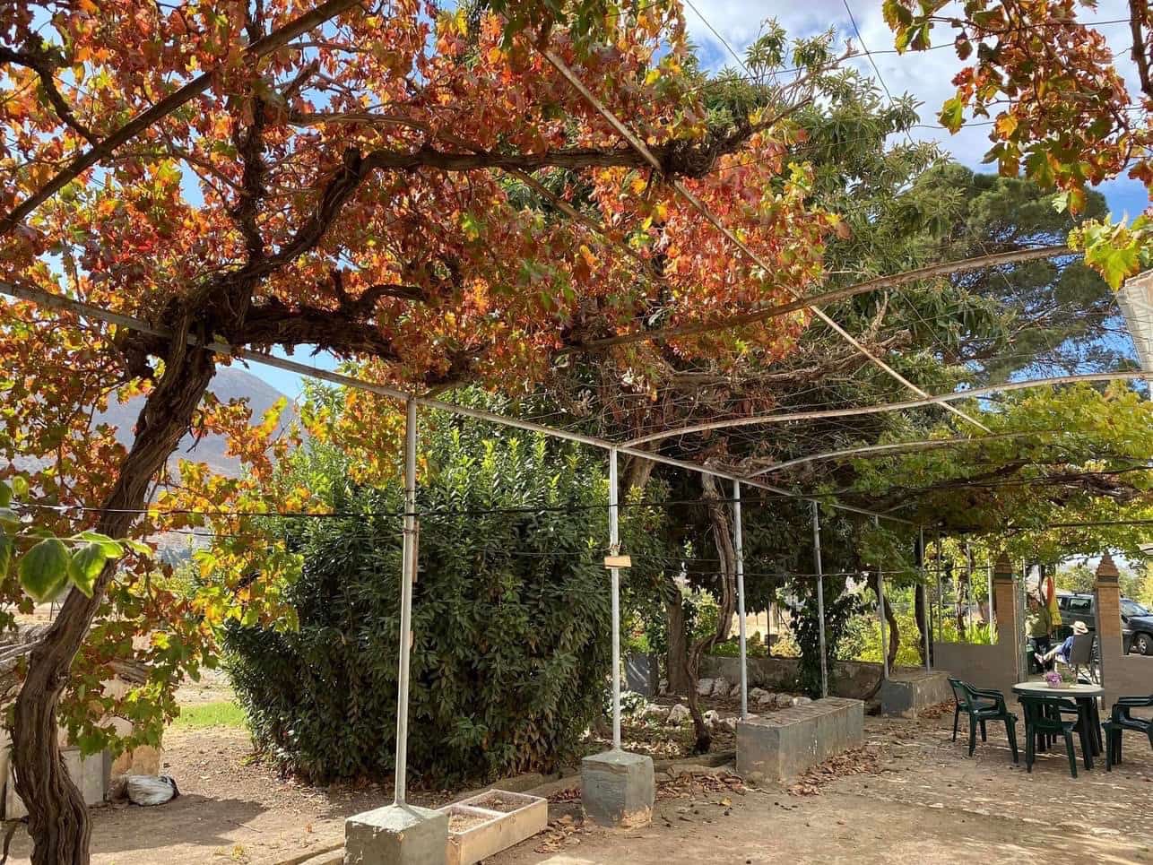 9 bedroom Finca/Country House for sale in Loja with garage - € 550,000 (Ref: 9674818)