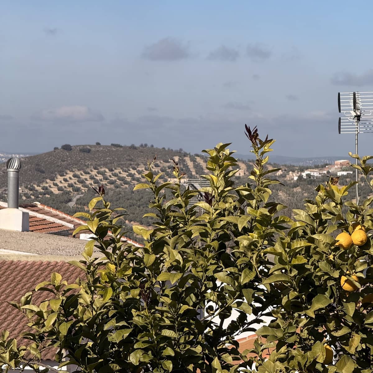 3 bedroom Townhouse for sale in Villanueva de Algaidas with pool garage - € 129,995 (Ref: 9674819)