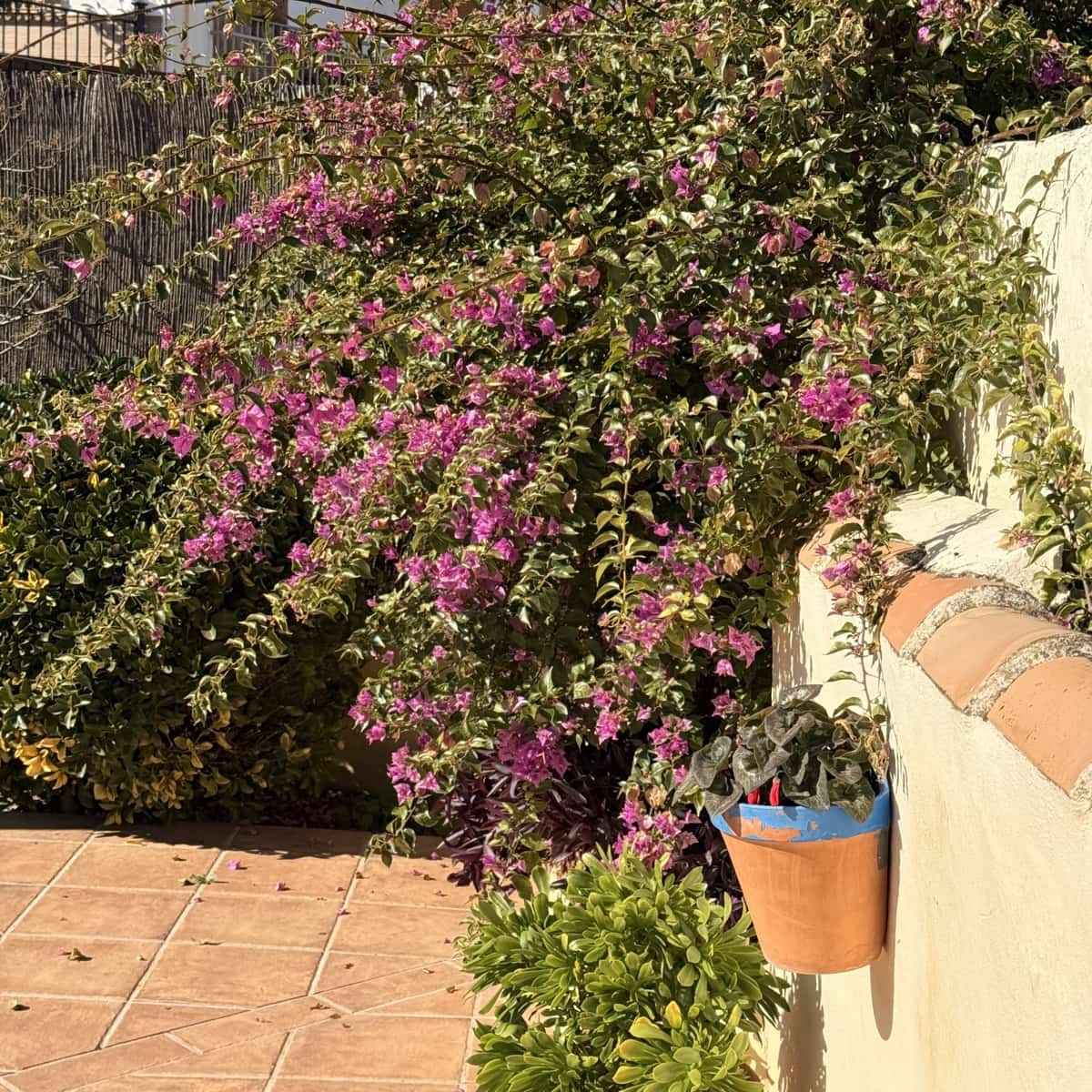 3 bedroom Townhouse for sale in Villanueva de Algaidas with pool garage - € 129,995 (Ref: 9674819)