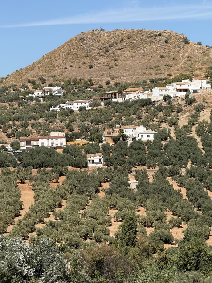 4 bedroom Townhouse for sale in Villanueva de Algaidas with pool garage - € 142,000 (Ref: 9674821)