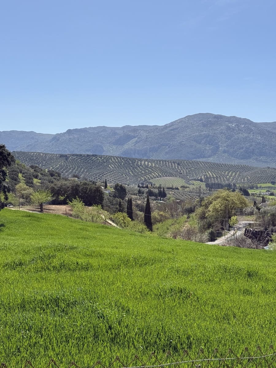 2 slaapkamer Finca/Landhuis te koop in Villanueva del Rosario met zwembad garage - € 119.000 (Ref: 9674825)