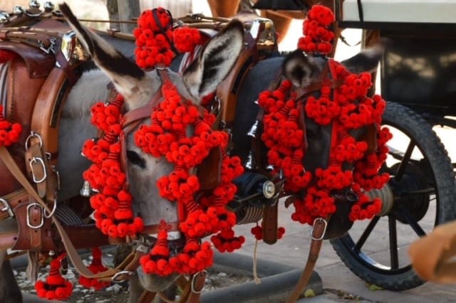 4 bedroom Townhouse for sale in Villanueva del Trabuco with pool garage - € 124,995 (Ref: 9674826)