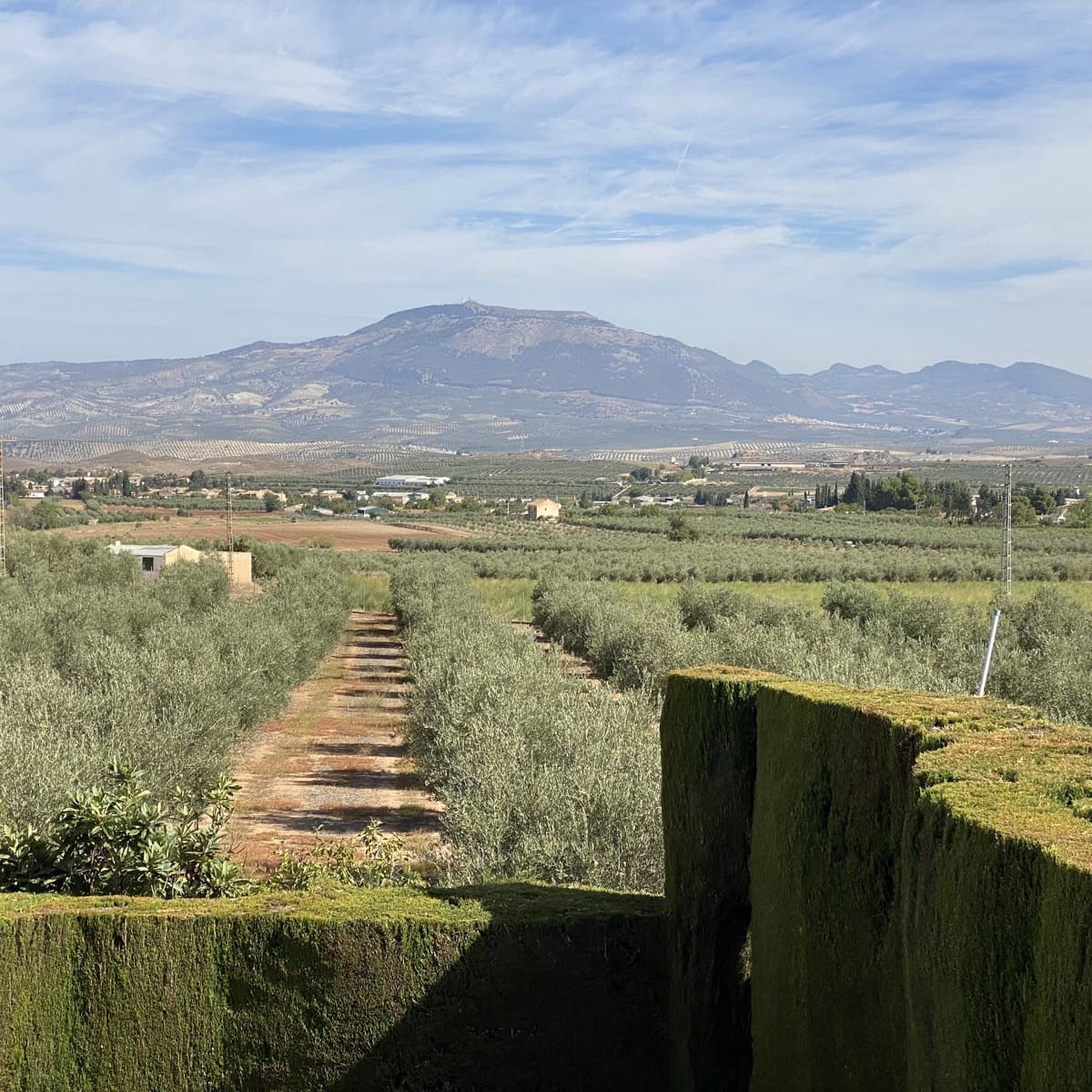 Finca/Casa Rural de 6 habitaciones en Moraleda de Zafayona en venta con piscina garaje - 499.995 € (Ref: 9674829)