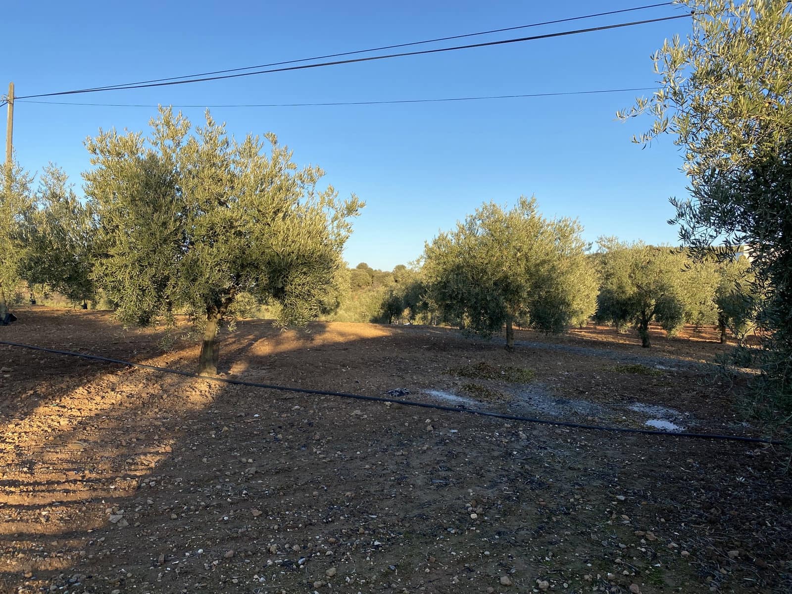 5 chambre Finca/Maison de Campagne à vendre à Archidona avec garage - 155 000 € (Ref: 9674834)