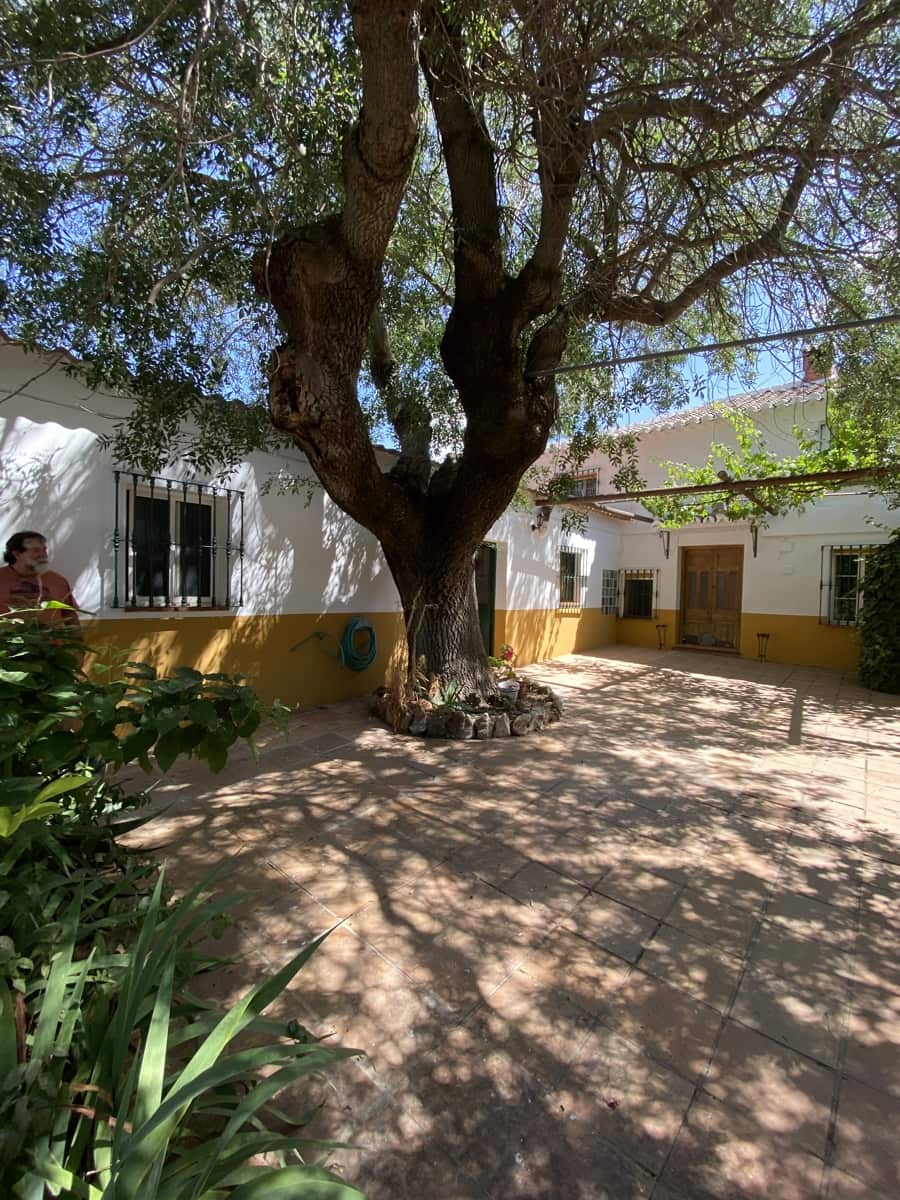 4 sypialnia Finka/Dom wiejski na sprzedaż w Villanueva del Trabuco z garażem - 189 995 € (Ref: 9674836)