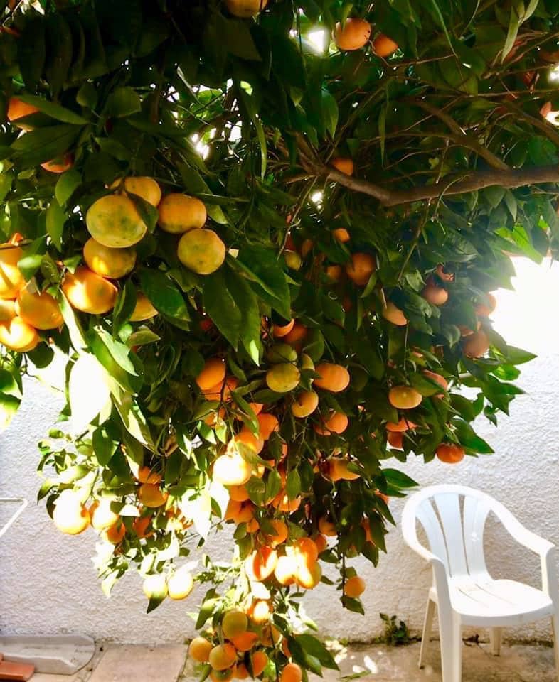 Finca/Casa Rural de 5 habitaciones en Villanueva del Trabuco en venta con garaje - 179.000 € (Ref: 9674840)