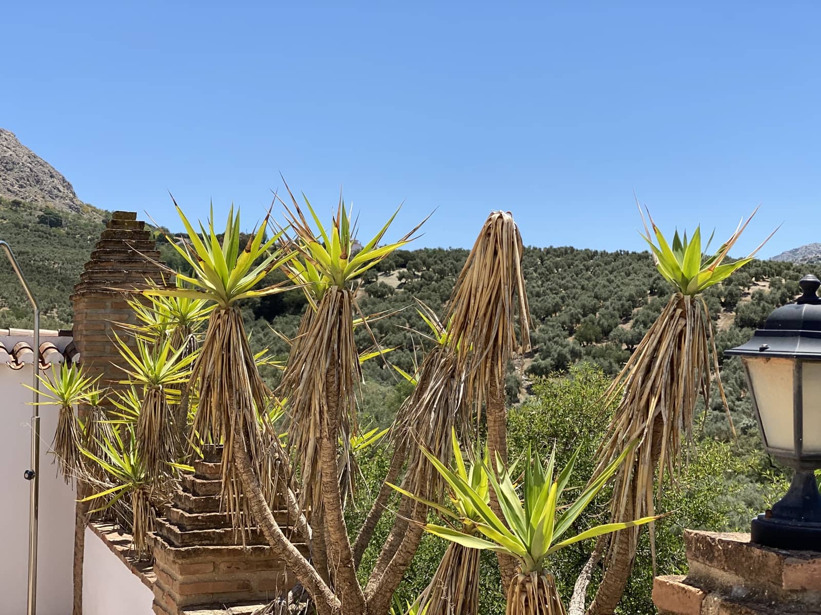 3 bedroom Finca/Country House for sale in Villanueva del Trabuco with pool garage - € 289,000 (Ref: 9674842)