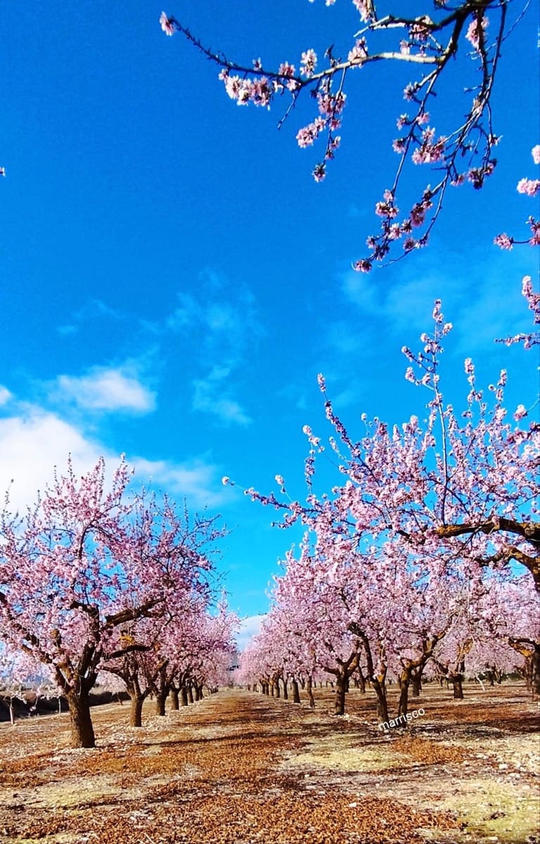 3 bedroom Townhouse for sale in Villanueva de Algaidas with garage - € 72,750 (Ref: 9674843)