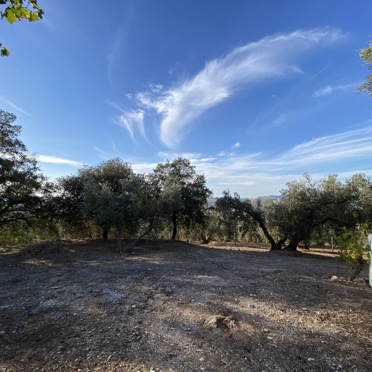 Finca/Casa Rural de 2 habitaciones en Villanueva del Trabuco en venta con piscina garaje - 349.000 € (Ref: 9674844)