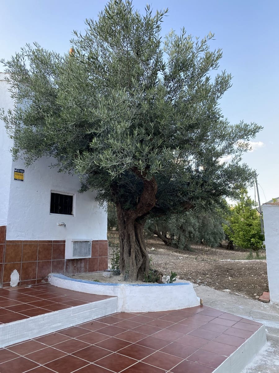 3 bedroom Finca/Country House for sale in La Calera (Villanueva Del Trabuco) with garage - € 123,995 (Ref: 9674845)