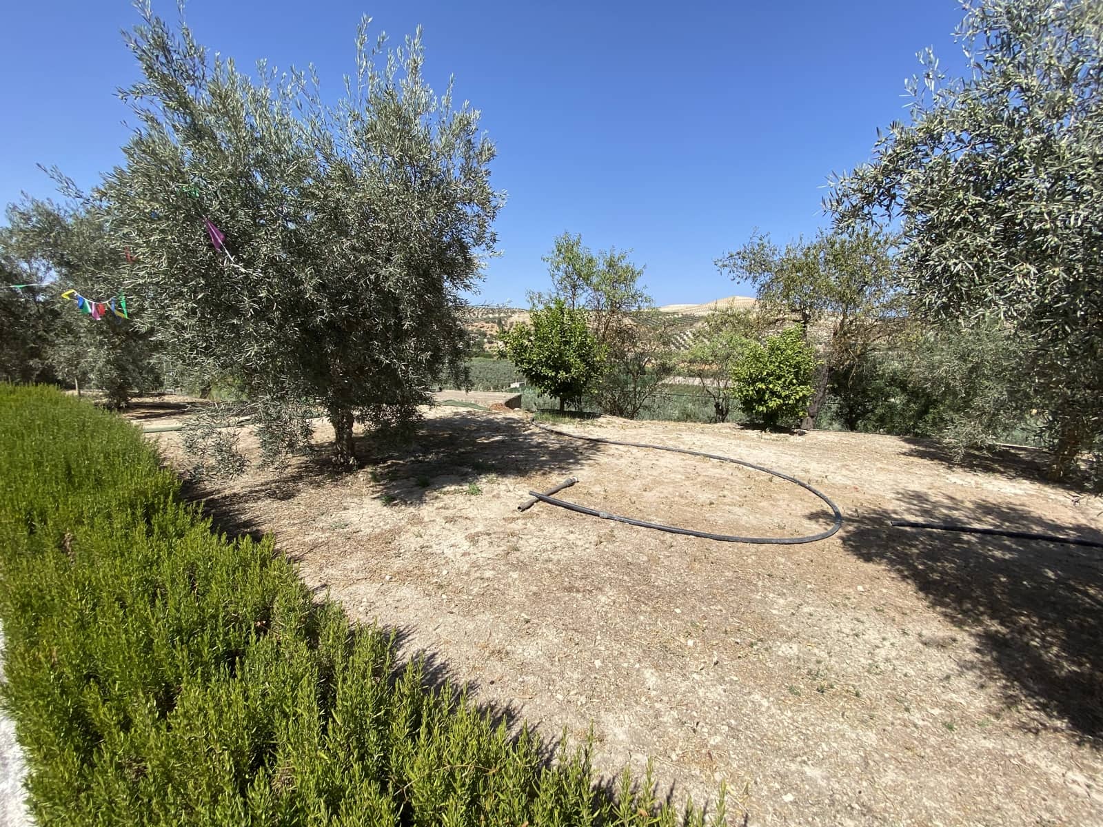 3 bedroom Finca/Country House for sale in Salar with pool garage - € 234,750 (Ref: 9674850)