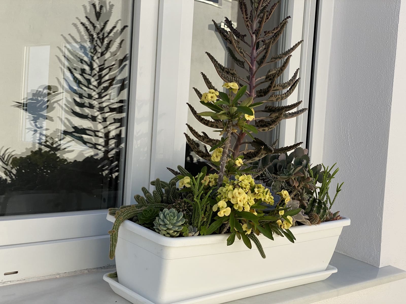 3 sypialnia Willa na sprzedaż w Marbella z basenem garażem - 999 950 € (Ref: 9674851)